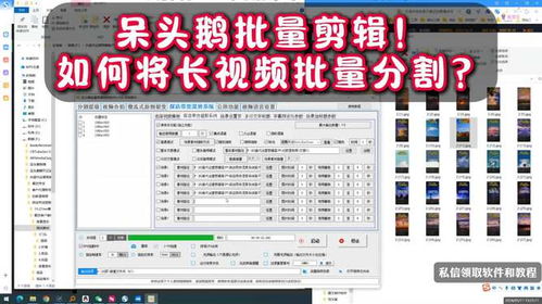 呆頭鵝批量剪輯矩陣系統(tǒng) 想知道如何將長視頻批量分割